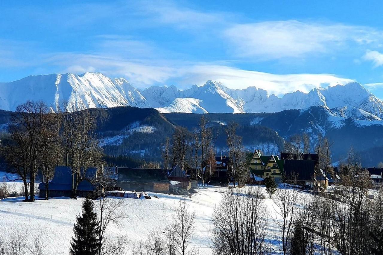 Tatrzanska Rezydencja Pod Brzyzkiem Zakopane Kültér fotó