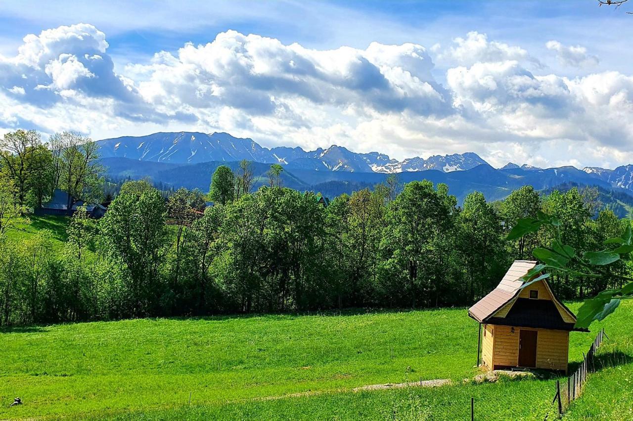 Tatrzanska Rezydencja Pod Brzyzkiem Zakopane Kültér fotó
