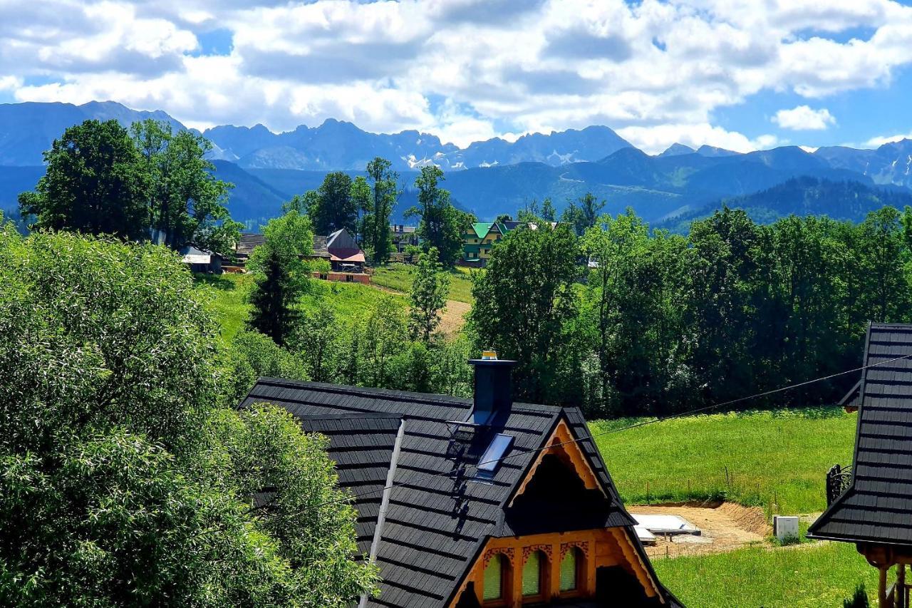 Tatrzanska Rezydencja Pod Brzyzkiem Zakopane Kültér fotó